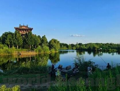 麻豆视频a-麻豆视频——解锁互联网新视界的文化探微